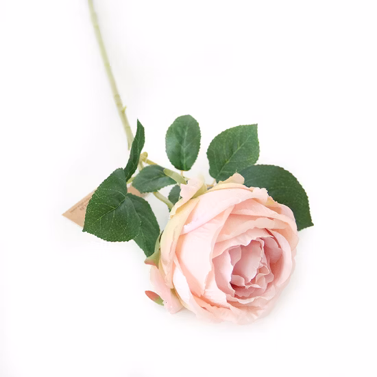 iPhone 11 PRO Xs Max Xr 용 인기 전화 케이스 꽃 여성 패션 IMD 꽃 무늬 전화 커버 제품 공급 휴대폰 액세서리